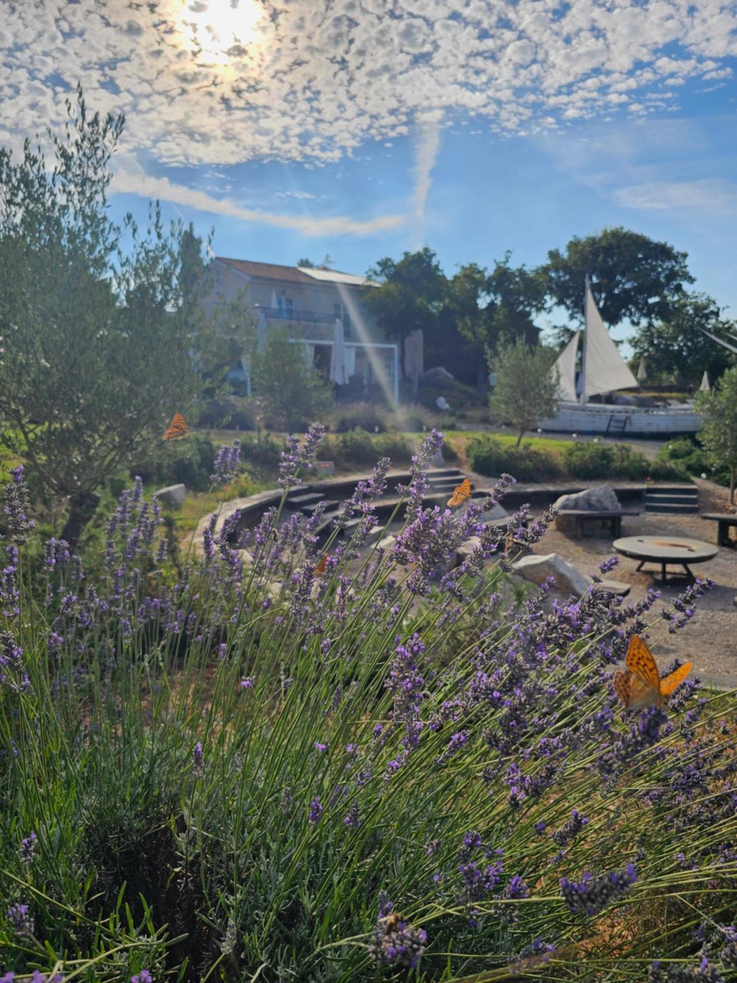 Boutique Resort Osma - Adults Only Malinska Dış mekan fotoğraf